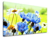 Wall painting FLOWERS Discount 60 % 60X90 cm